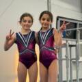 The Only Gymnastics Equipment You Really Need