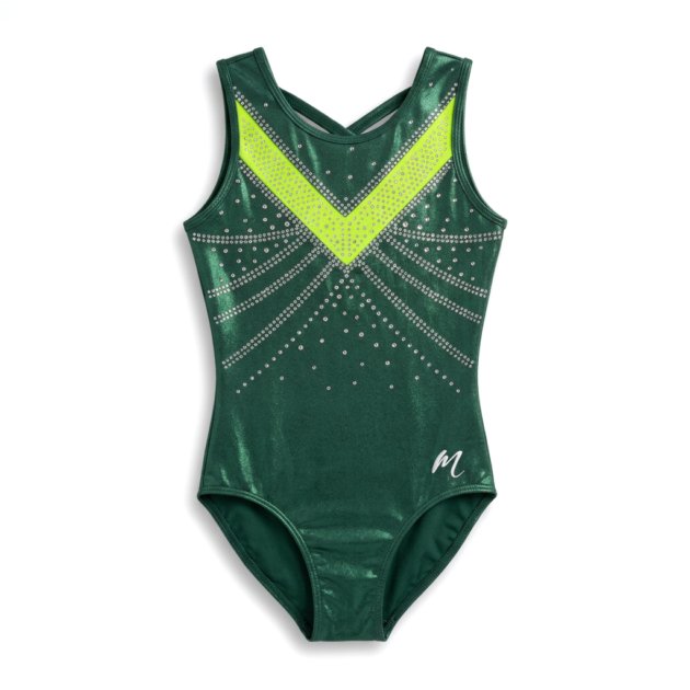 AYSHA Gymnastics Leotards Front
